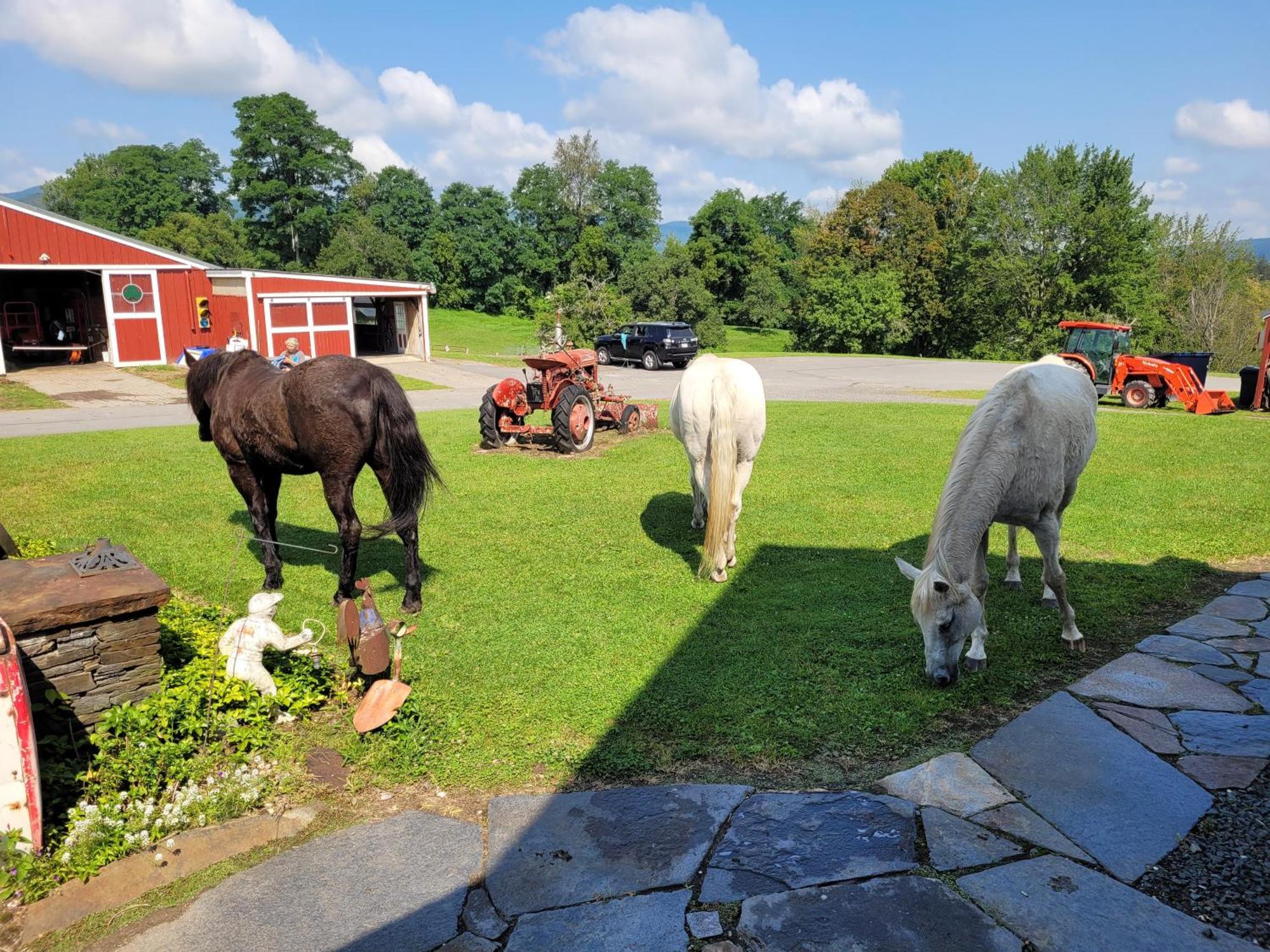 Clover Hill Farm & Country Inn Уильямстаун Экстерьер фото